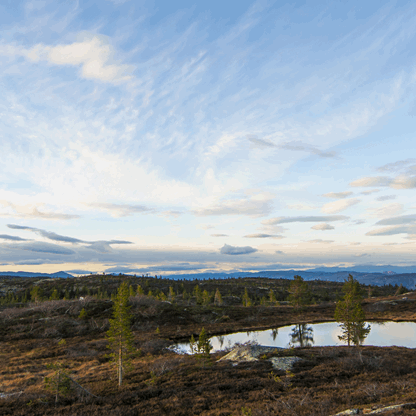 Planlegging og utvikling av infrastruktur